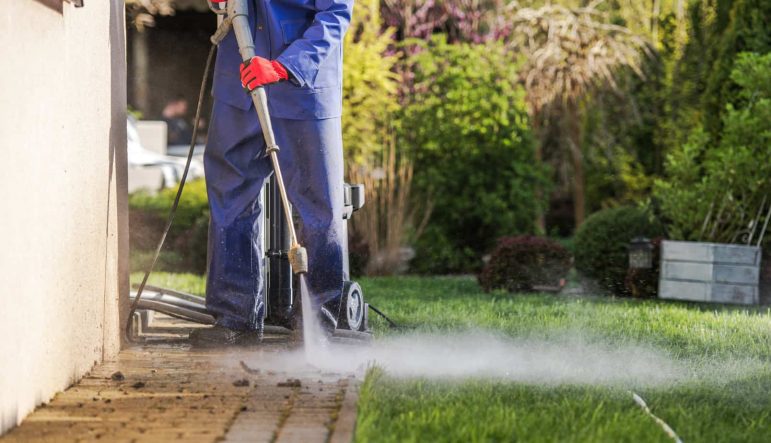 ეზოს დალაგება